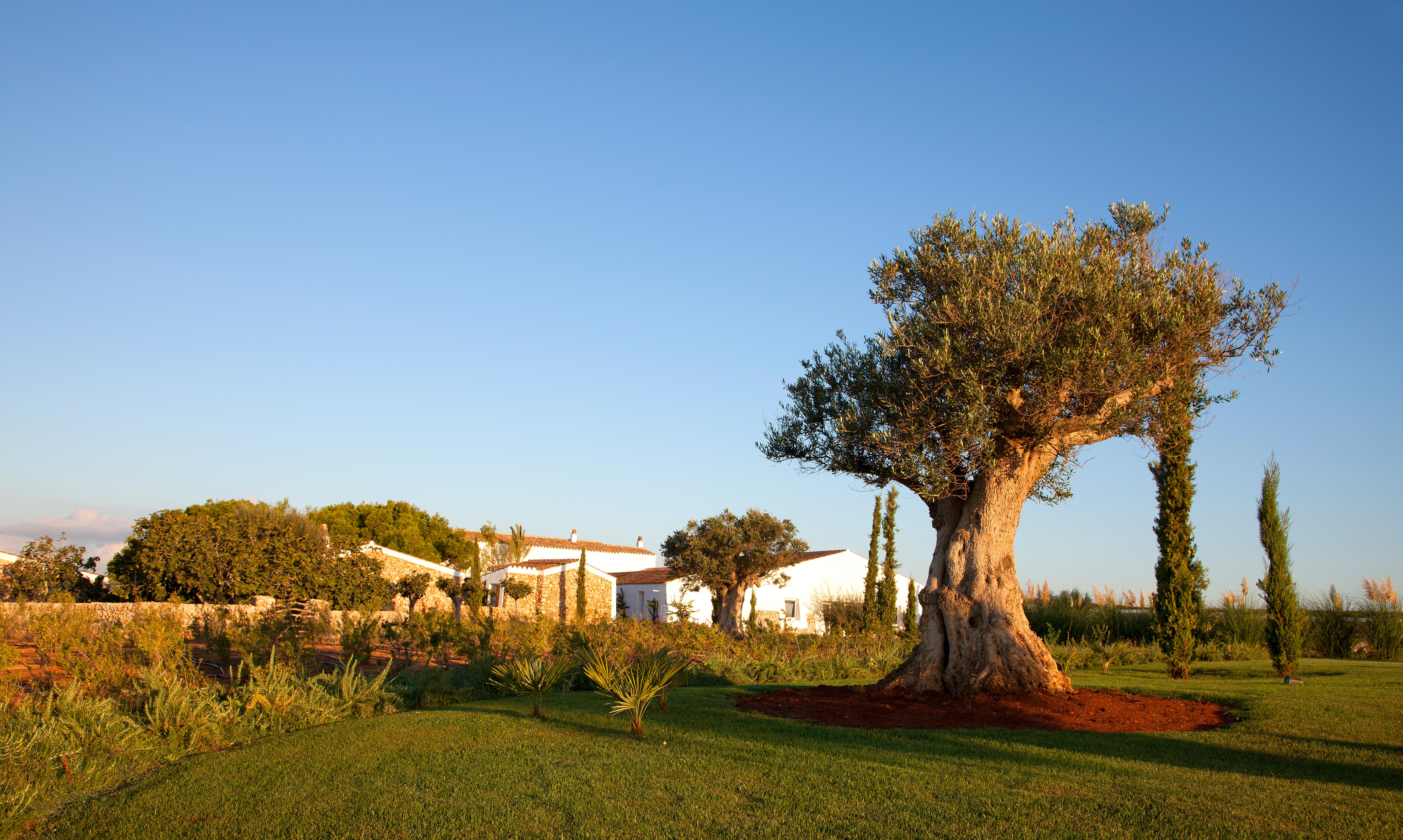 Torralbenc, A Small Luxury Hotel Of The World Cala En Porter  Exteriér fotografie